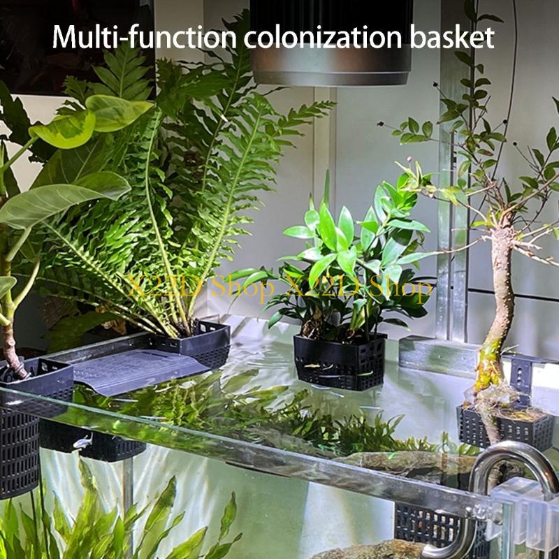 Plant Aquarium Pot - X22D Traditional Styles Vertical Garden Hanging