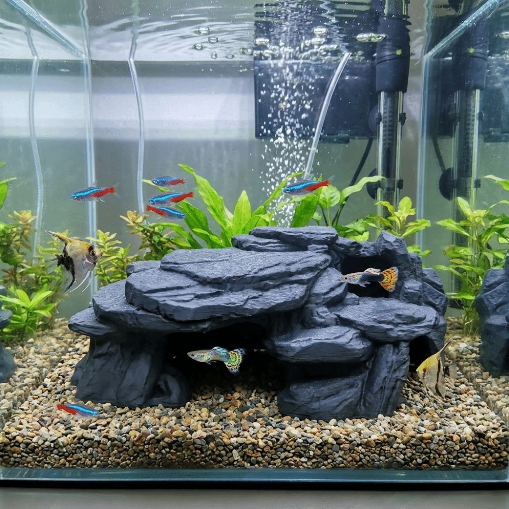 3D Printing Fish Tank Rockery  - Aquarium Plants Live 评论和价格