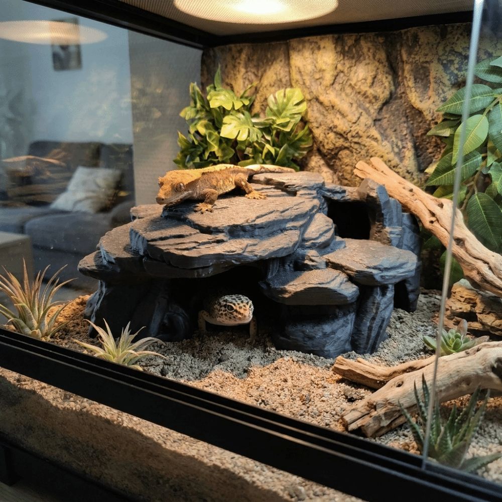3D Printing Fish Tank Rockery  - Aquarium Plants Live 评论和价格