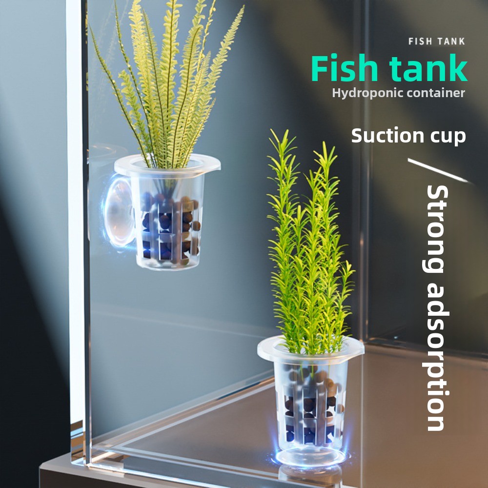 10Pcs Transparent Plant Hydrop - Plant Aquarium Pot 评论和价格