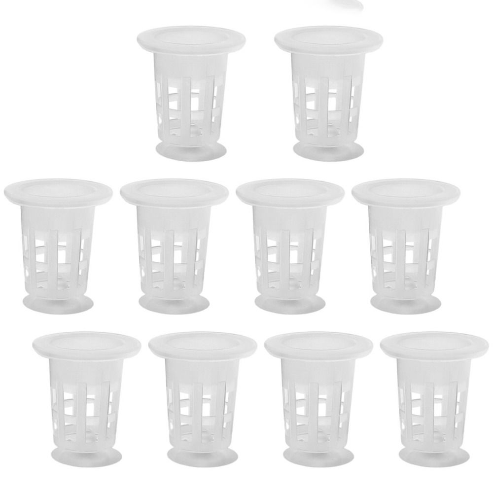 10Pcs Transparent Plant Hydrop - Plant Aquarium Pot 评论和价格