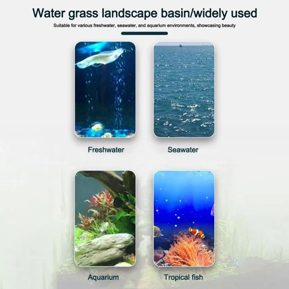 10Pcs Transparent Plant Hydrop - Plant Aquarium Pot 评论和价格