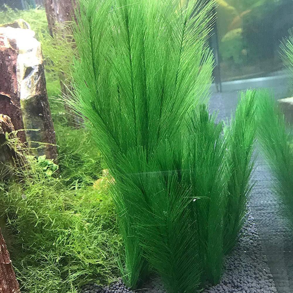 1/3Pcs 28/40cm Aquarium Fish T - Live Plant Aquarium 评论和价格