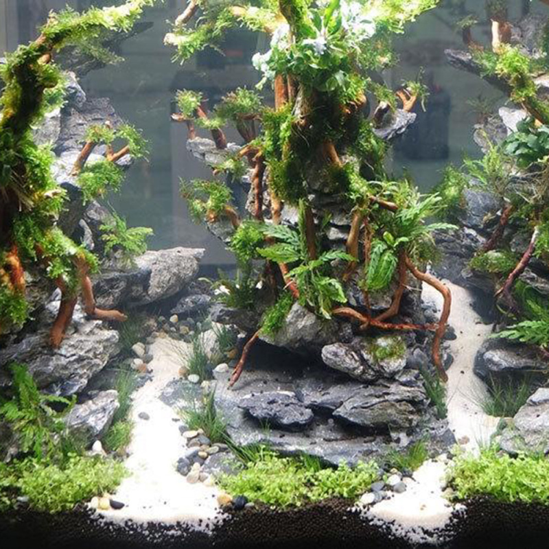 Natural Driftwood Root Trunk T - Aquarium Driftwood 评论和价格