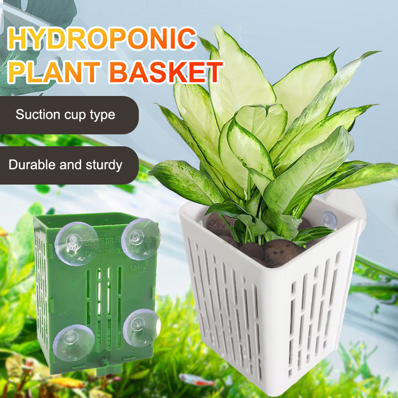 Hanging Suction Cup Hook Aquar - Plant Aquarium Pot 评论和价格