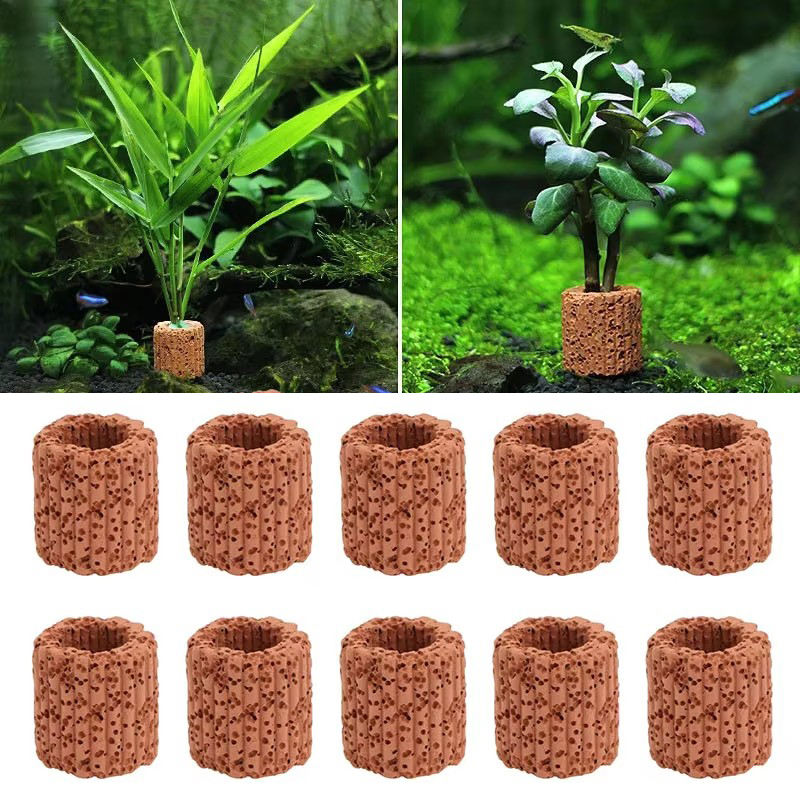 Aquatic Plant Fixed Ring for A - Plant Aquarium Pot 评论和价格