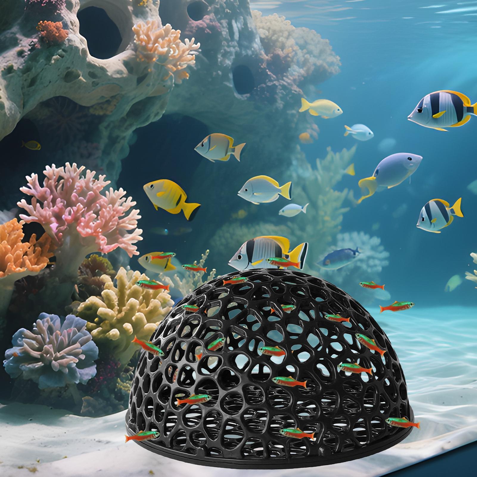 Aquarium Hiden Cave Shelter fo - Aquarium Plants Live 评论和价格