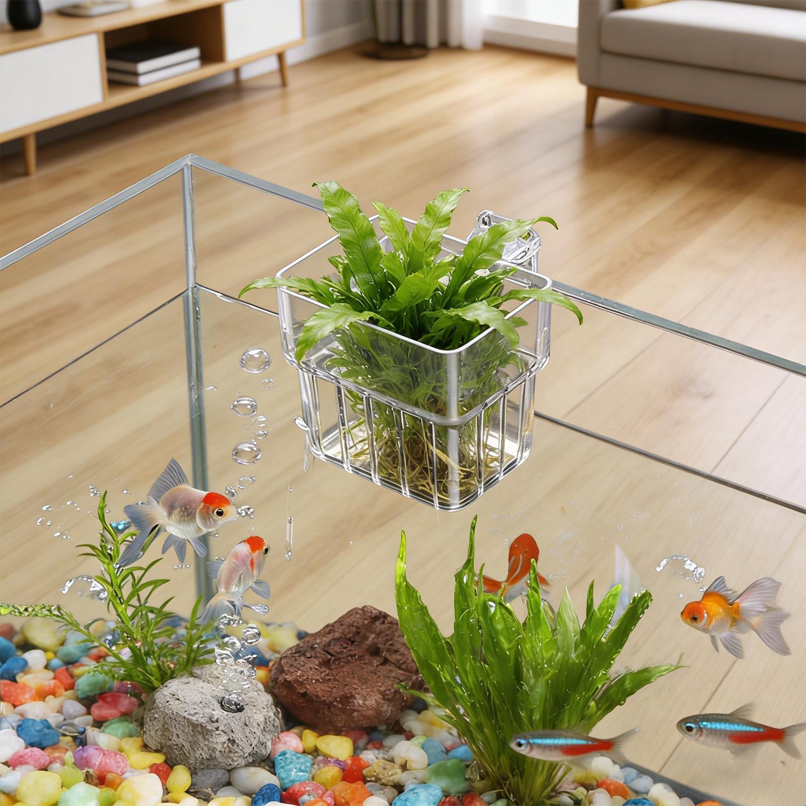Fish Tank Fixed Basket Wall mo - Aquarium Plants Live 评论和价格