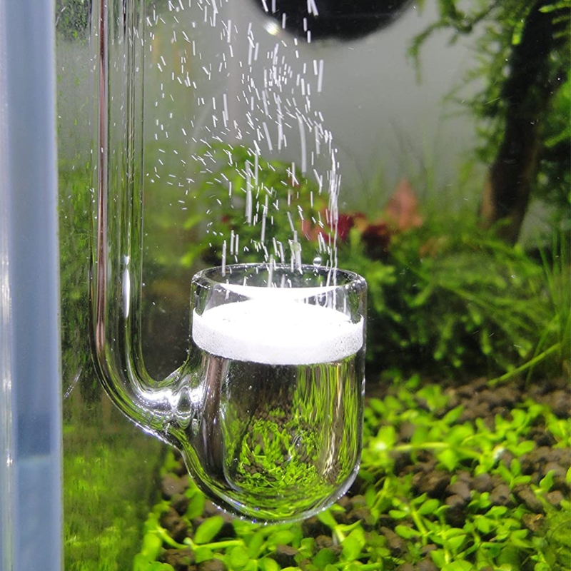 Glass CO2 Diffuser Transparent - Aquarium Liquid Carbon 评论和价格