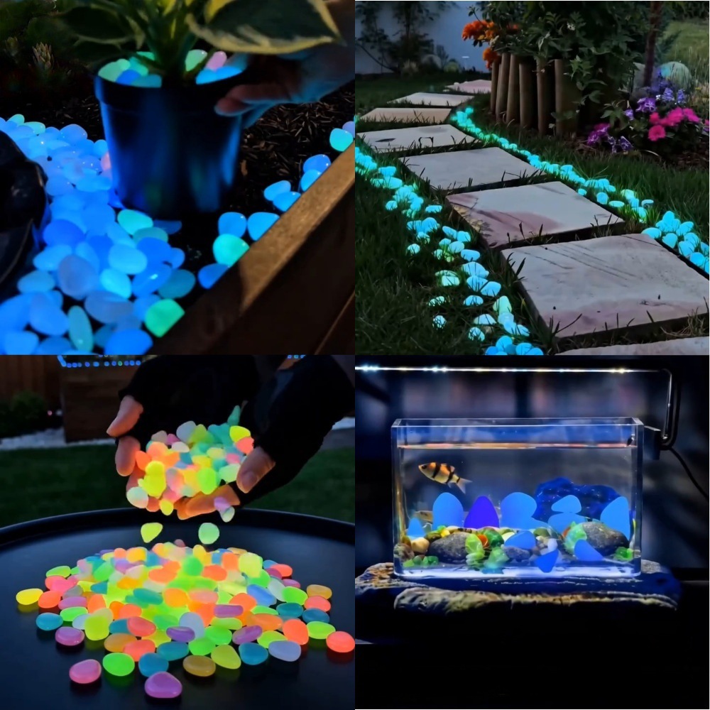 Colorful Glow In The Dark Lumi - Plant Aquarium Pot 评论和价格