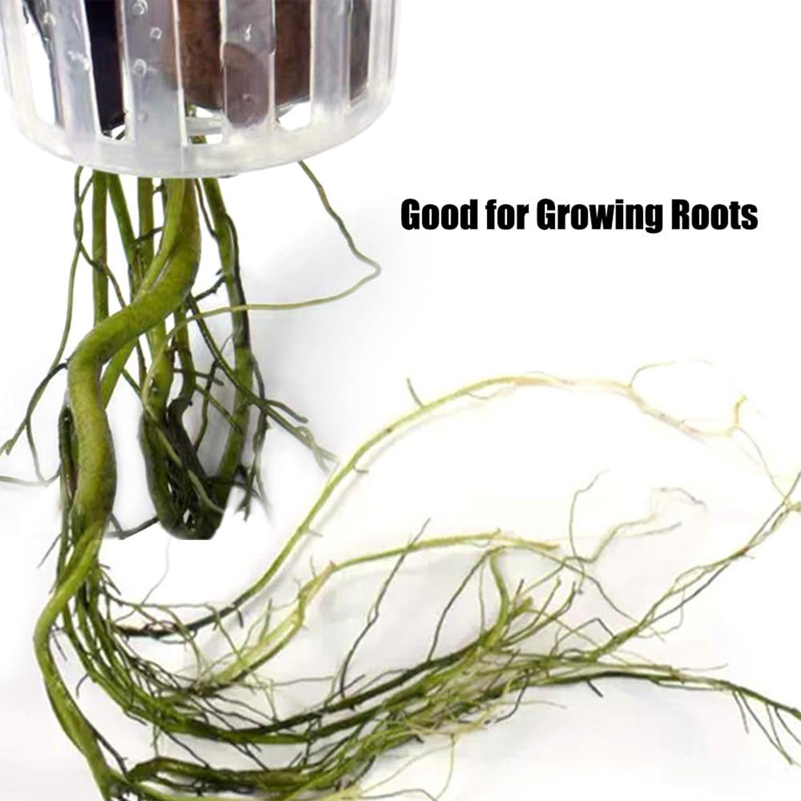 2PCS Hangable Aquatic Plant Ho - Plant Aquarium Pot 评论和价格