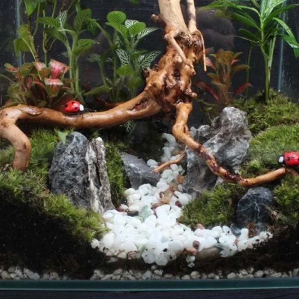 Natural Driftwood Aquarium Dec - Aquarium Plant Substrate 评论和价格
