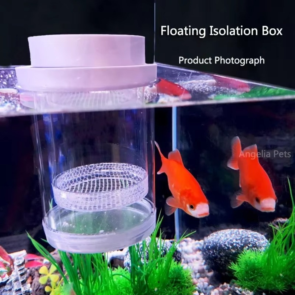 Plastic Floating Fish Breeding - Aquarium Fertilizer 评论和价格