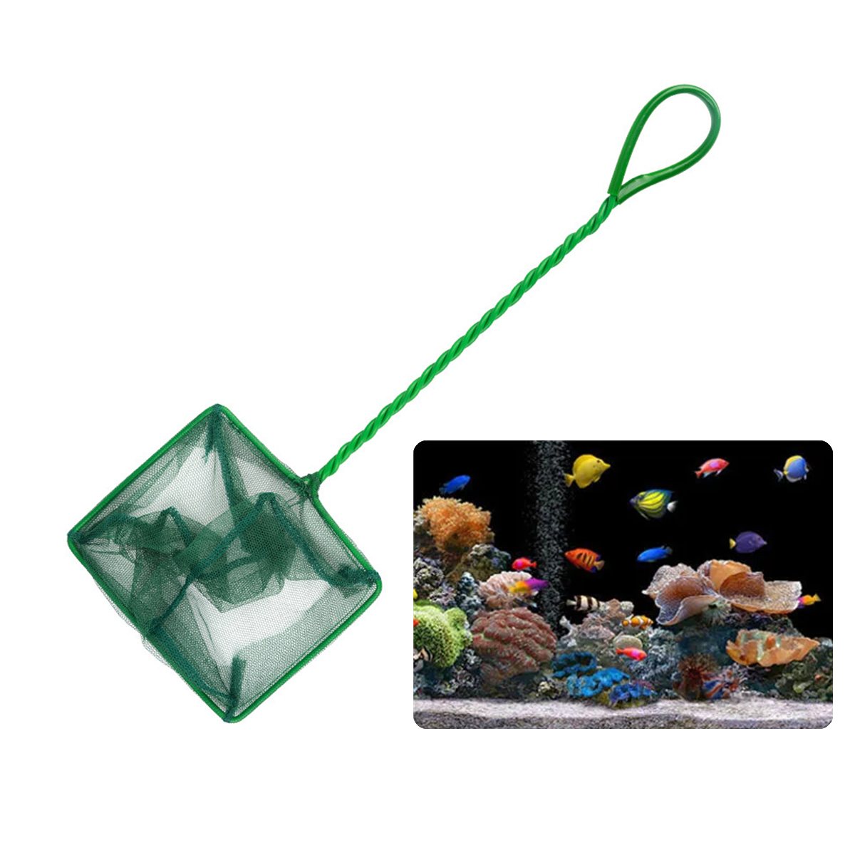 3~10 Inch Portable Nylon Green - Planted Aquarium Cleaning 评论和价格