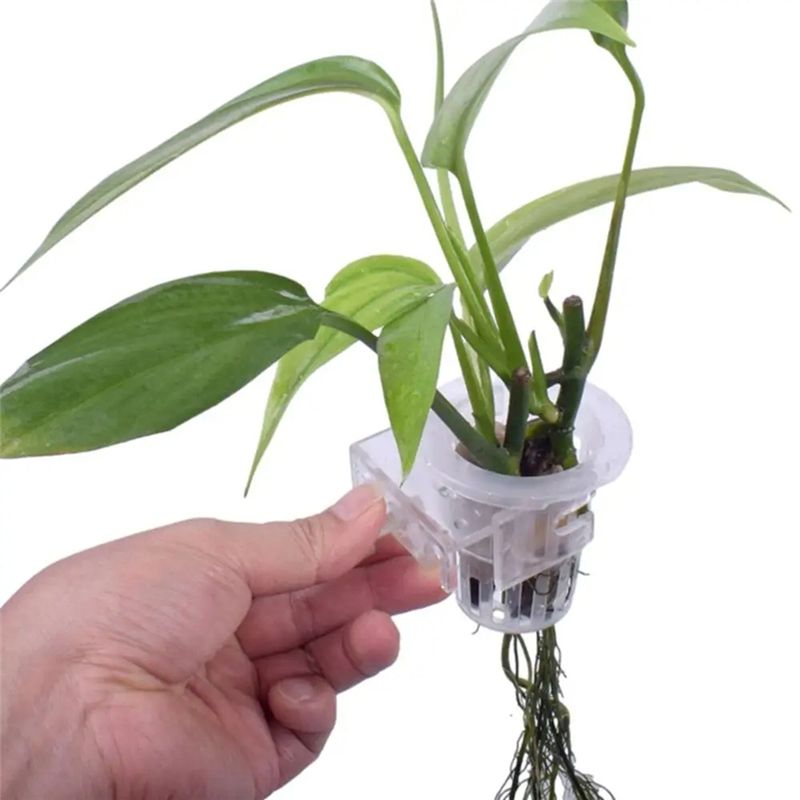 A7THK-2Pcs Transparent Hanging - Aquarium Plant Holder 评论和价格