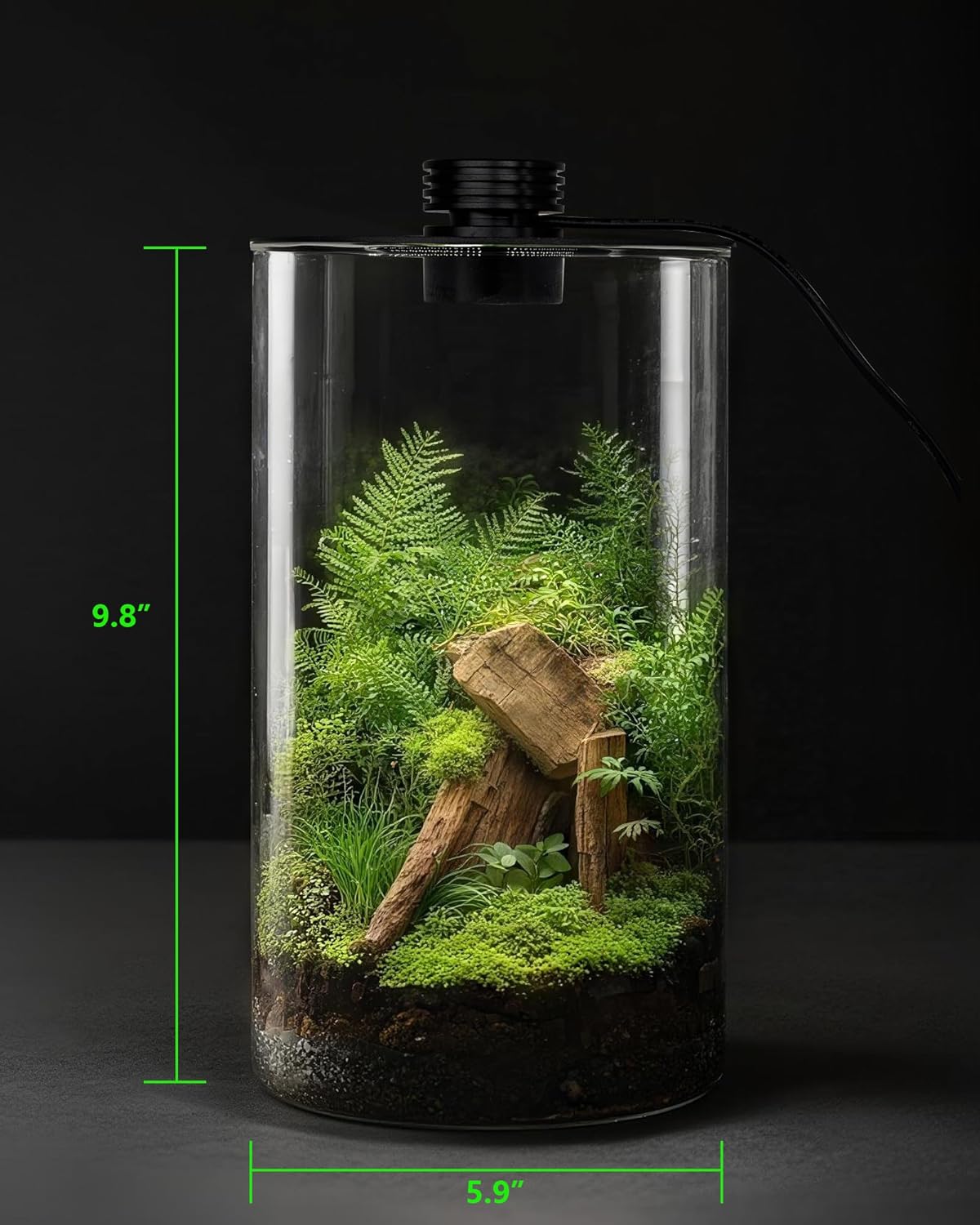 Indoor Glass Terrarium with Gr - Planted Tank 评论和价格