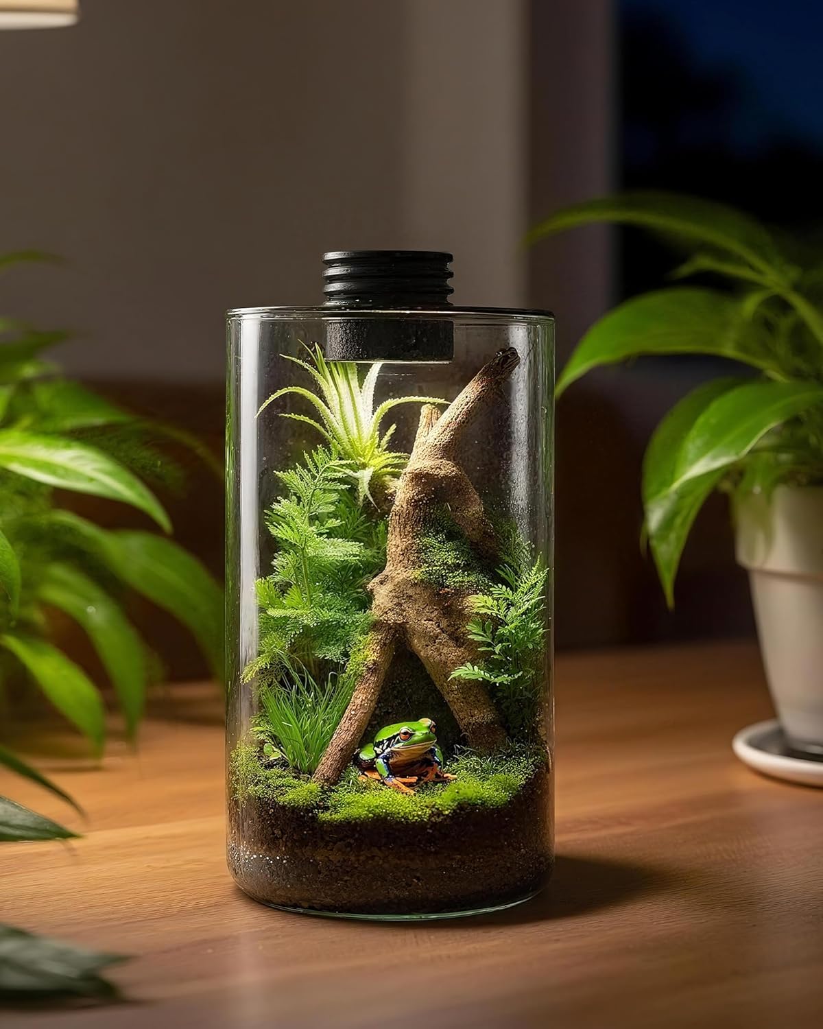 Indoor Glass Terrarium with Gr - Planted Tank 评论和价格