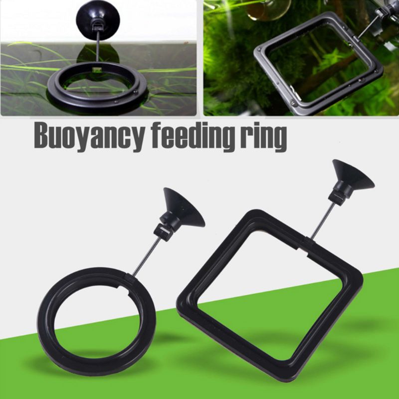 Aquarium Fish Feeding Ring Fis - Aquarium Fertilizer 评论和价格